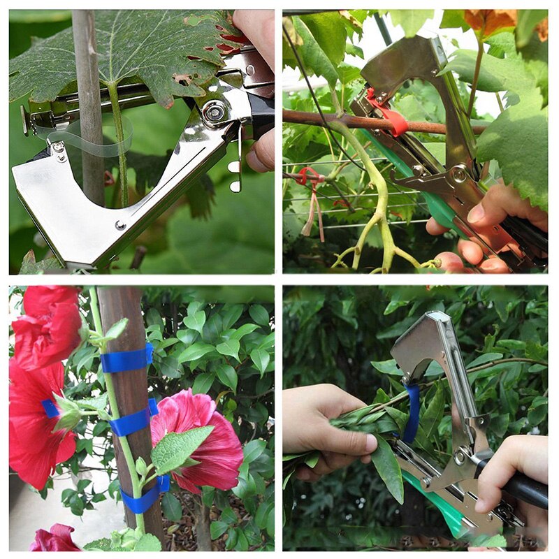 Greffage Outils de jardinage Fleurs Légumes Clous de ligature Rubans