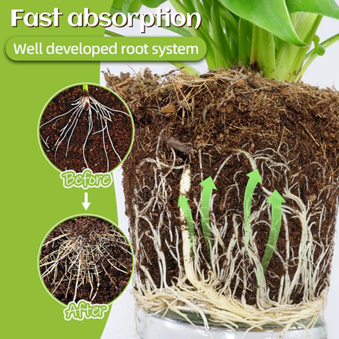 ESTHEMEA HOME- Bâtonnet catalyseur pour plantes MoonSpry, engrais pour la croissance des bourgeons, des cheveux et des racines des plantes, fruits et légumes en pot