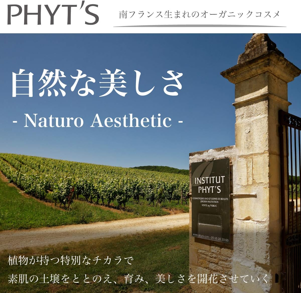 Phyt's White Bio-Active Gommage Bio 40 g