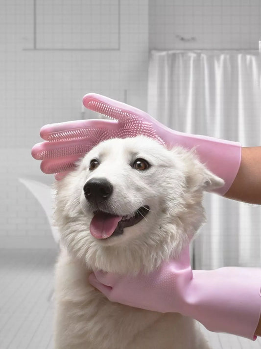 7a6024a2-c927-4b0d-aae9-94f1340f491f-Max-Origin