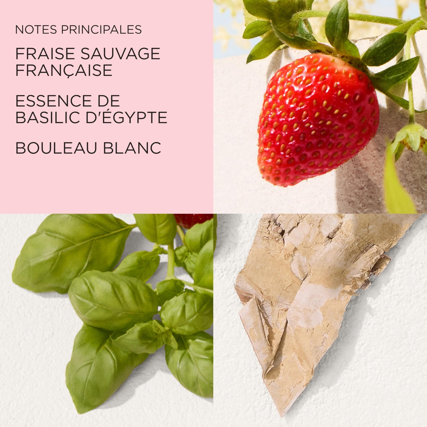 Elizabeth Arden – Parfum Femme Green Tea Strawberry Basil, Eau de Toilette Femme Fraîche et Fruité avec Notes de Fraise, Basilic et Thé Vert, Parfum Longue Tenue au Sillage Léger et Revigorant
