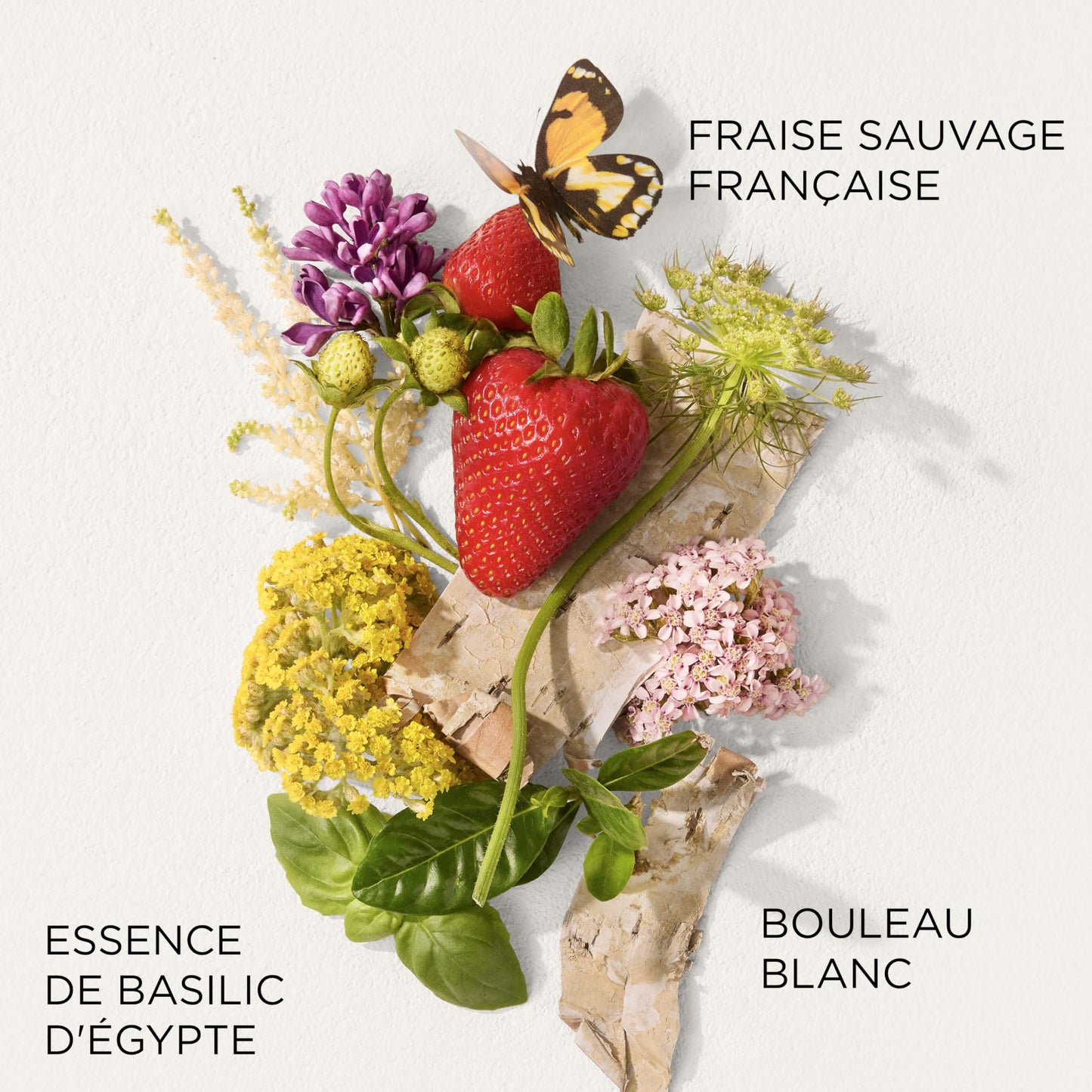 Elizabeth Arden – Parfum Femme Green Tea Strawberry Basil, Eau de Toilette Femme Fraîche et Fruité avec Notes de Fraise, Basilic et Thé Vert, Parfum Longue Tenue au Sillage Léger et Revigorant