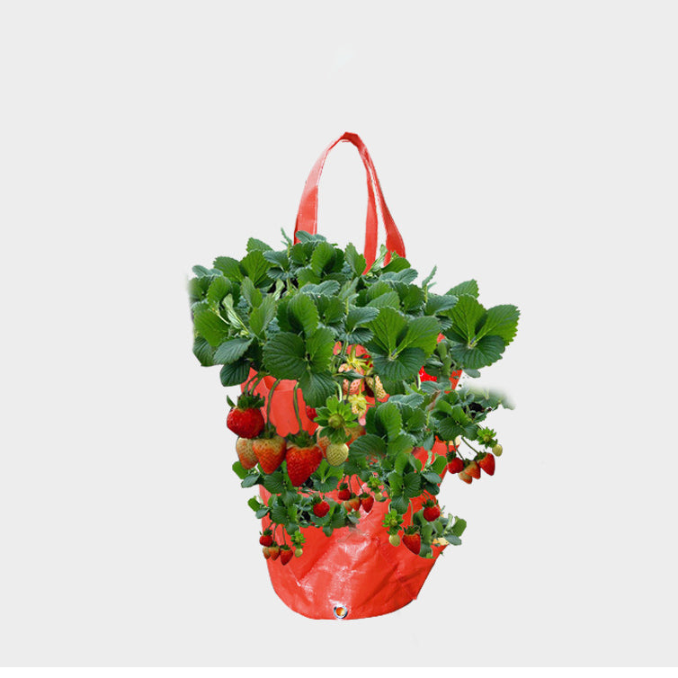 THEMEASHOP™ EXTÉRIEUR-  Sac de plantation suspendu pour fraises de 3 gallons, en polyéthylène, pour jardinage aérien.