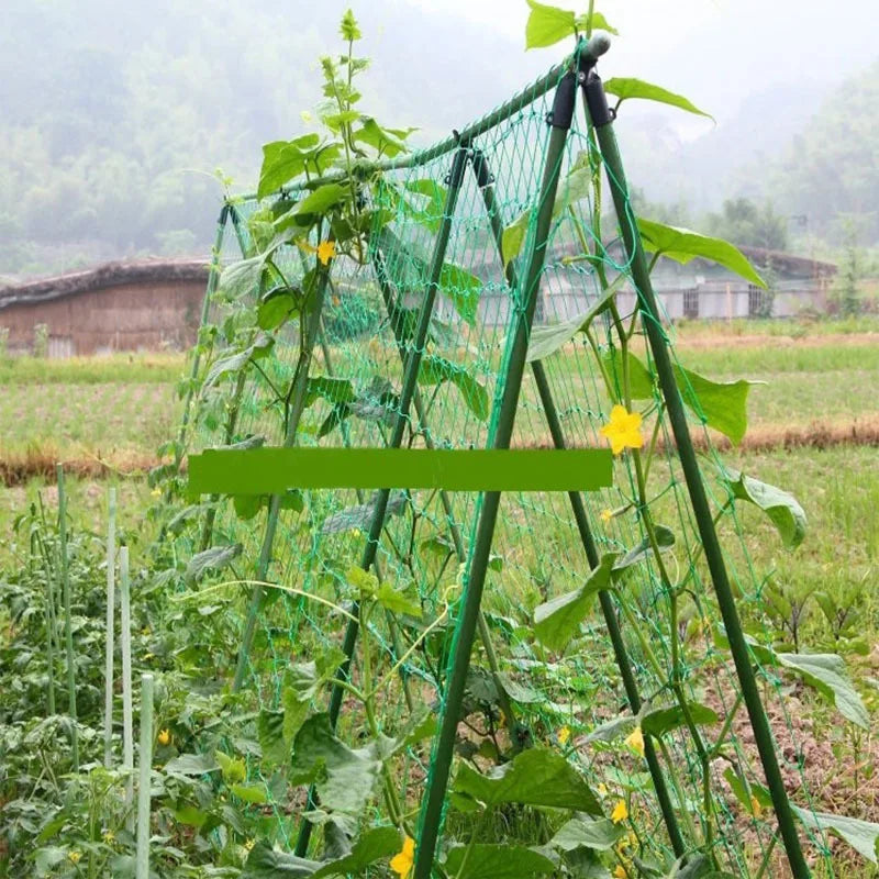 Filet de culture en nylon pour plantes grimpantes, luffa, support pour concombres et ipomées, réseau de jardinage sur chenilles