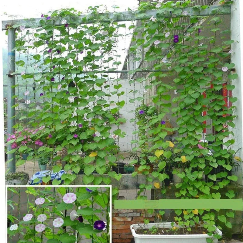 Filet de culture en nylon pour plantes grimpantes, luffa, support pour concombres et ipomées, réseau de jardinage sur chenilles