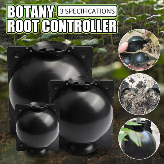 1 boîte de culture pour bouturage de plantes, contenant en plastique pour fleurs, idéale pour le jardin.