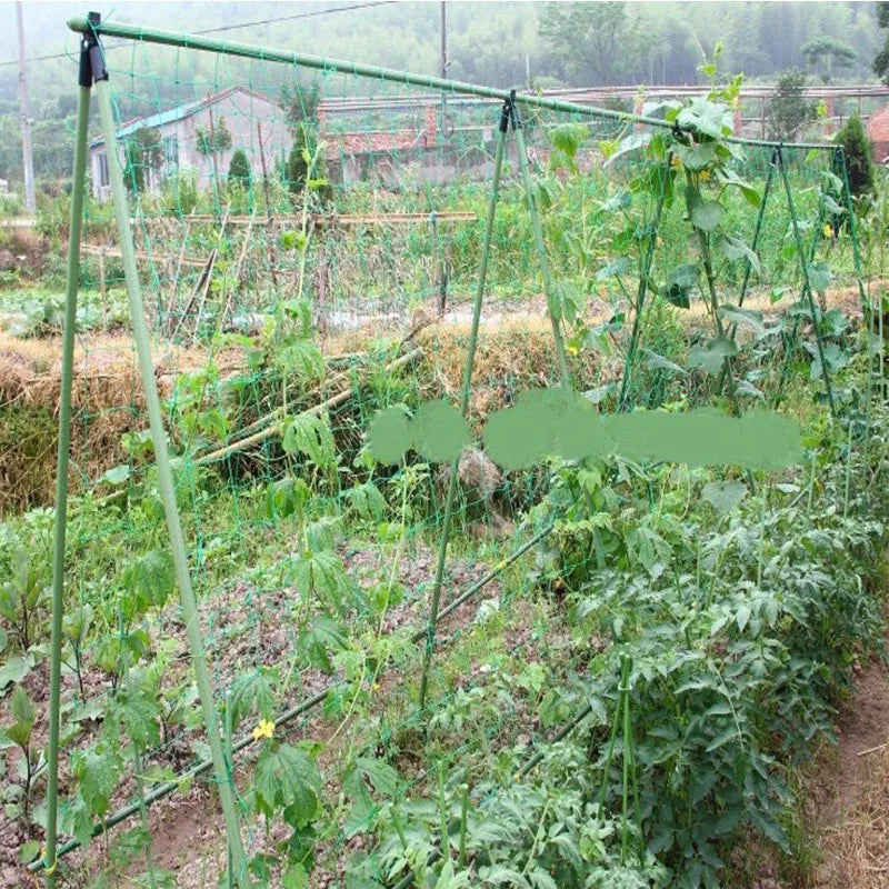 Filet de culture en nylon pour plantes grimpantes, luffa, support pour concombres et ipomées, réseau de jardinage sur chenilles