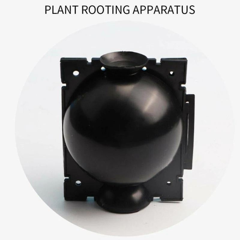 1 boîte de culture pour bouturage de plantes, contenant en plastique pour fleurs, idéale pour le jardin.