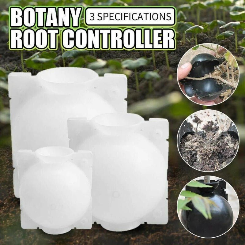 1 boîte de culture pour bouturage de plantes, contenant en plastique pour fleurs, idéale pour le jardin.